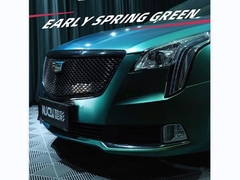 TPU-초 봄 녹색 (빛나는 색)